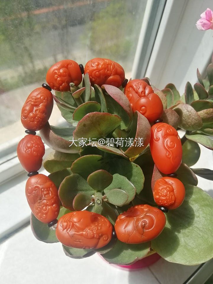 手串——手持变形记