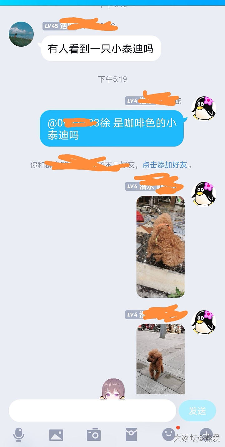 因为走在路上多看了一眼，帮一只小狗找到了家