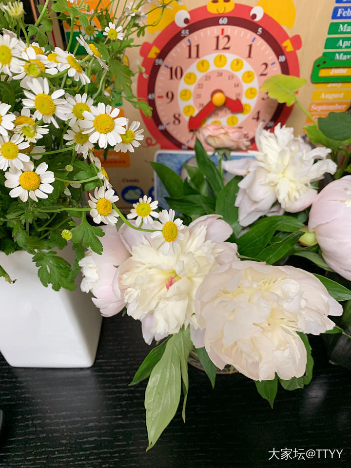新坛红