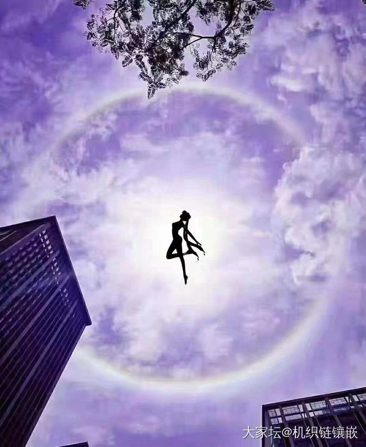 今天朋友圈都晒太阳，前几个是真的拍到的，然后就有了后面那几个图😂😂