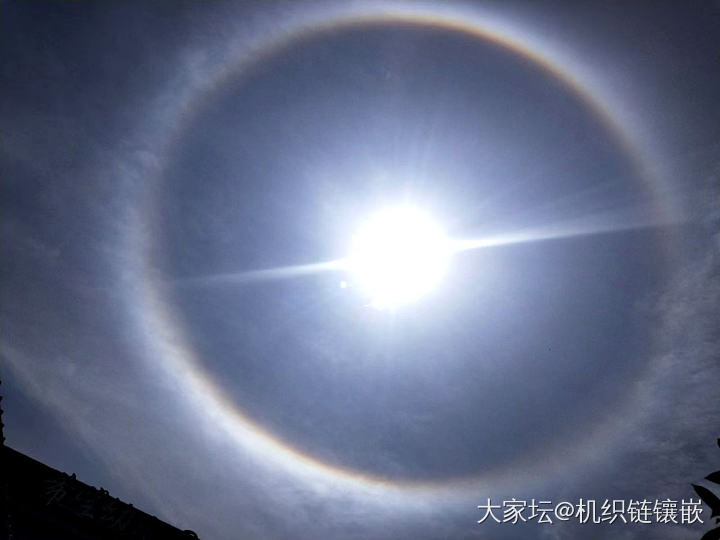 今天朋友圈都晒太阳，前几个是真的拍到的，然后就有了后面那几个图😂😂