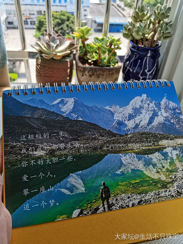 买一本做纪念。_收藏