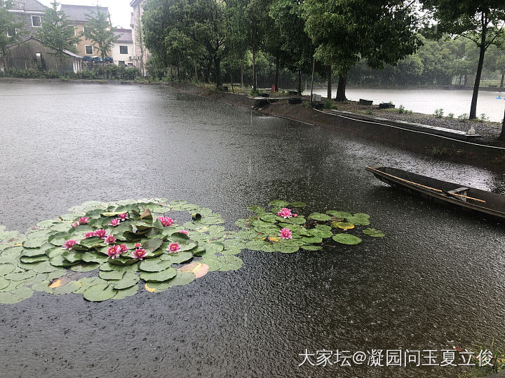 凝园第十三年