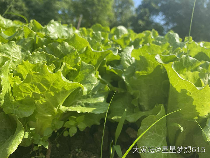 太阳真好，拍拍照片！