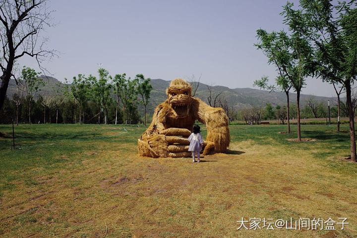 撸猫耽误撸串，差点忘了老夫还喜欢拍照_摄影