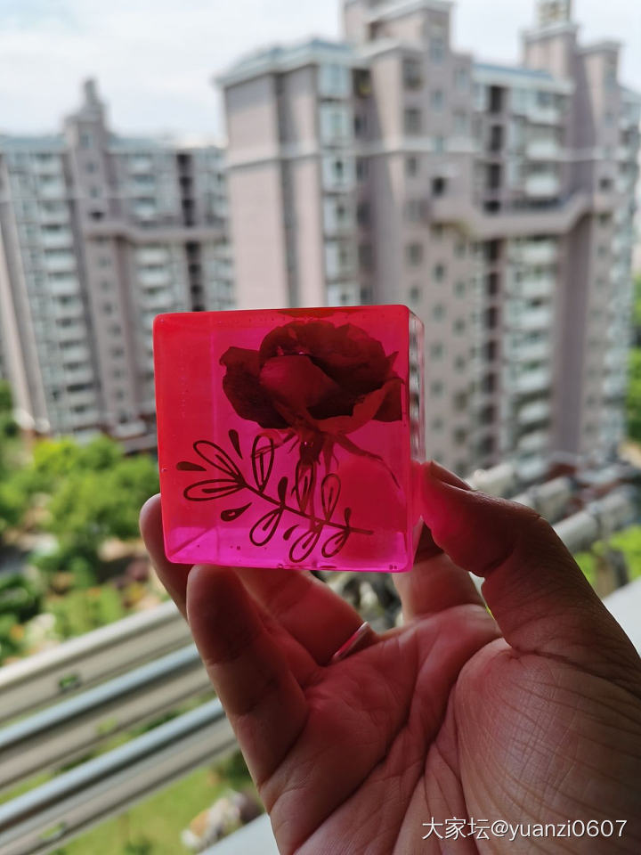 滴胶里的蔷薇_工艺品