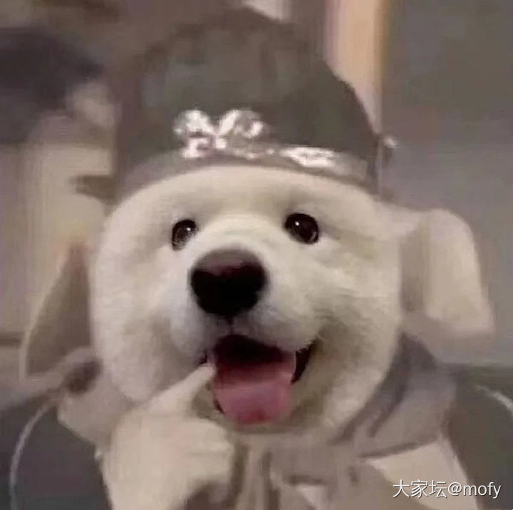 为了金币，我要做个点赞狂魔。哈哈。