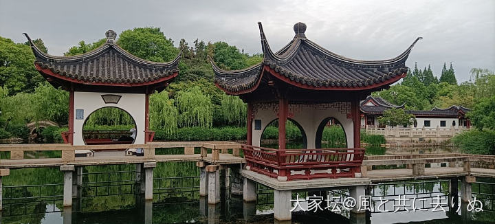 满眼的绿，惬意