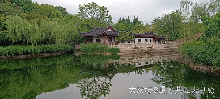 满眼的绿，惬意