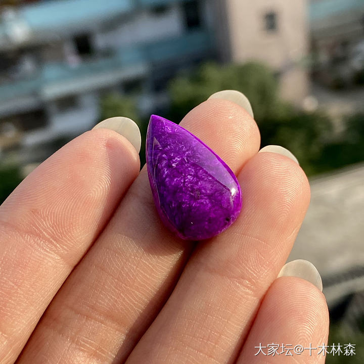 一年一个的舒俱来萝卜_舒俱来