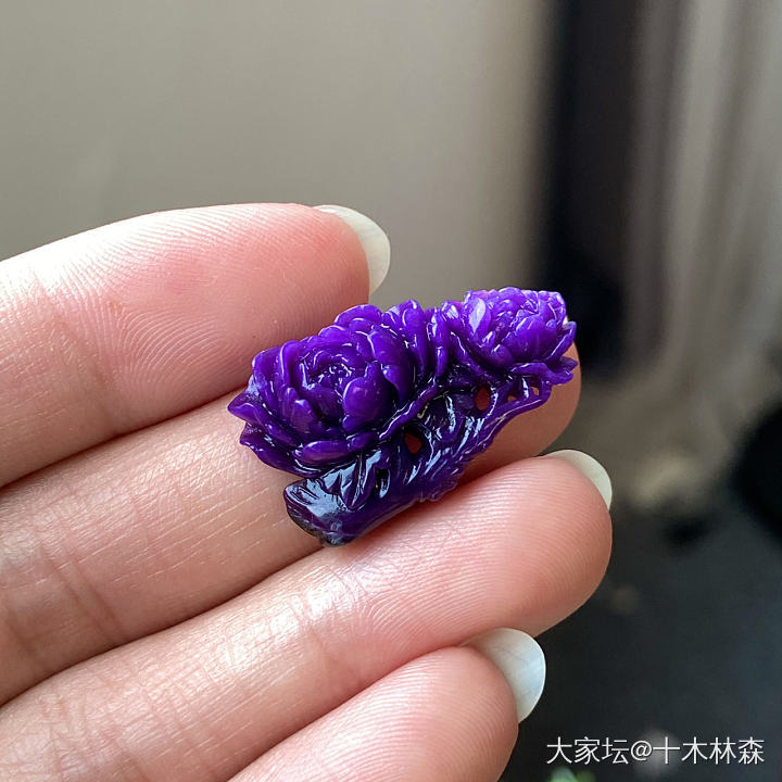 一年一个的舒俱来萝卜_舒俱来