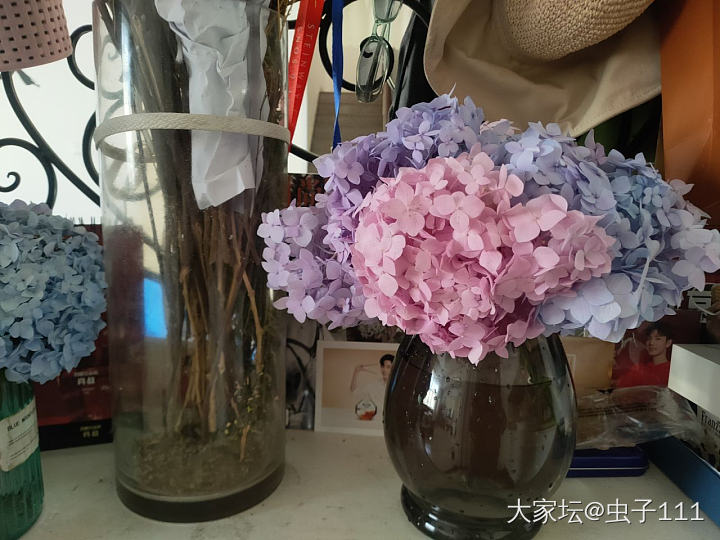 阳光正好_花