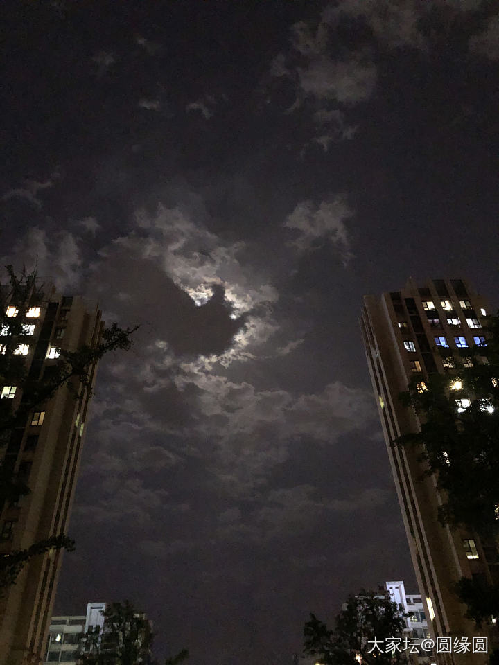 夜跑归来拍月亮🌜_景色