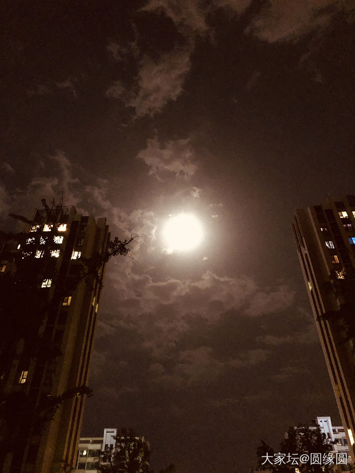 夜跑归来拍月亮🌜_景色