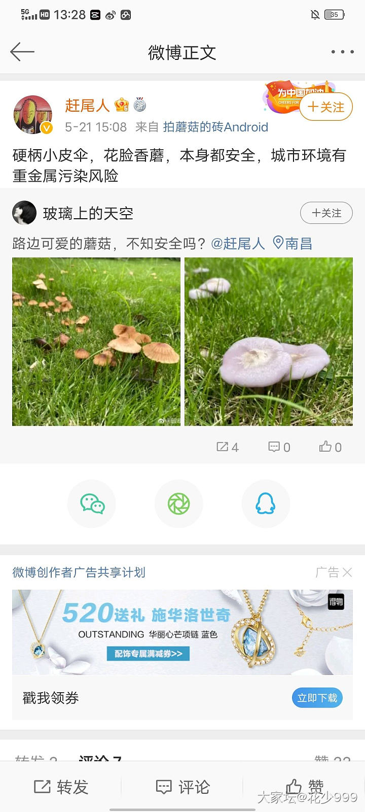 求助，这两种是什么菌类_植物