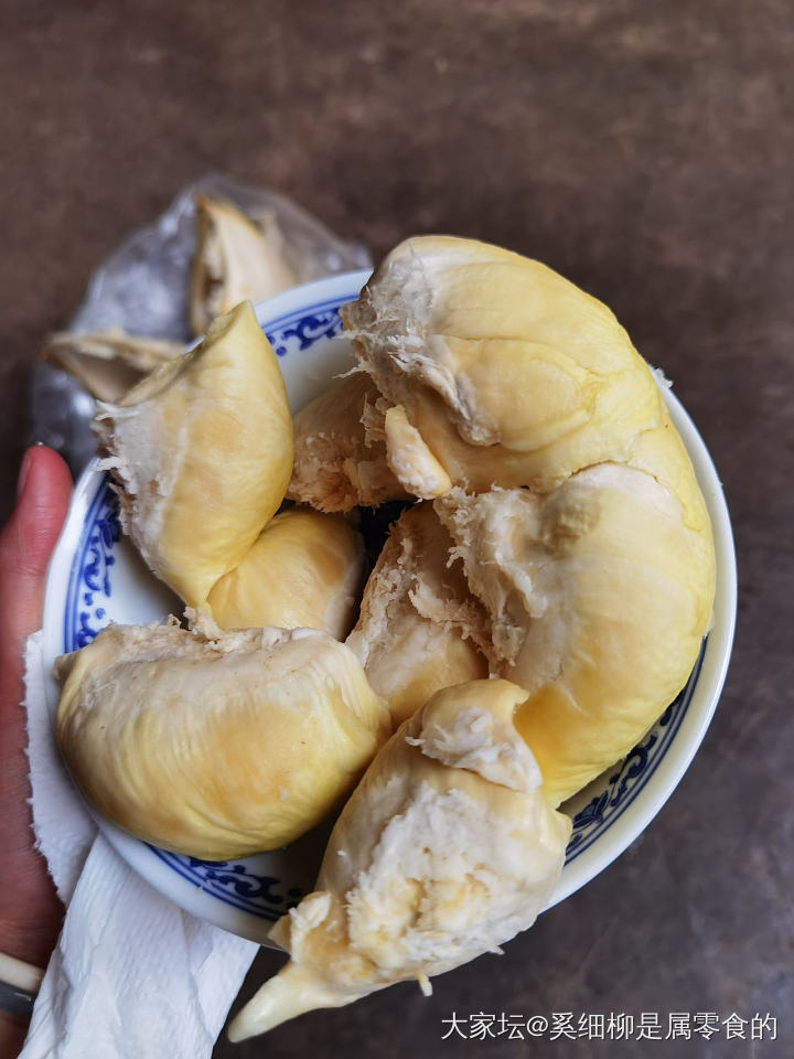 它那么小，却又那么懂事。