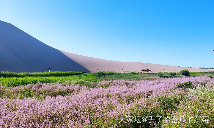 西北游_西北旅游