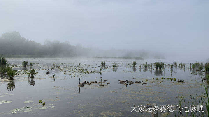 雾中的安大略湖畔，仙雾缭绕非常美，可惜手机拍不出来_景色