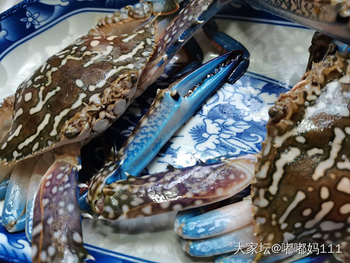 蓝色的螃蟹_食材