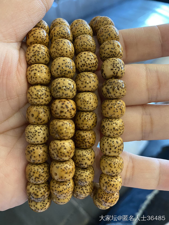 挂瓷的光泽_菩提子