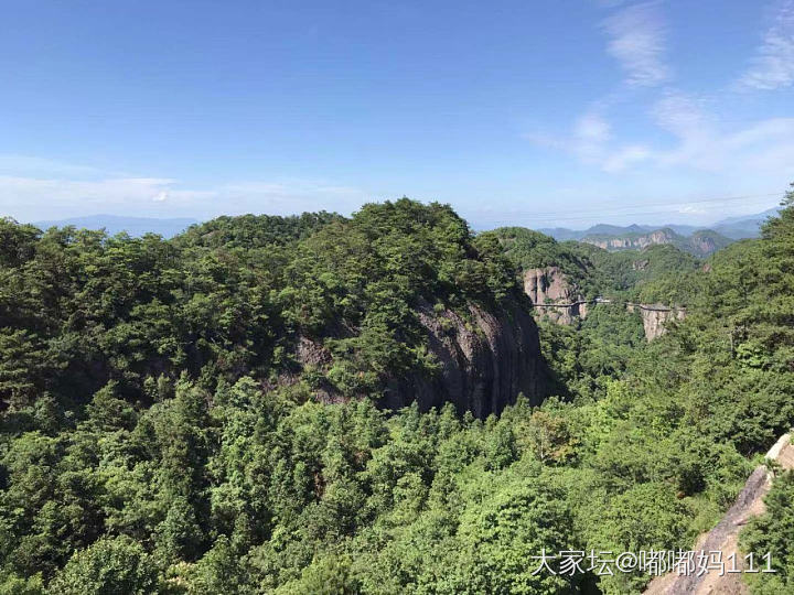 仙居杨梅_水果