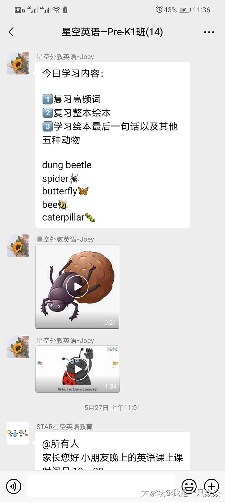 我女儿这两周学caterpillar,liana ladybug，_育教亲子