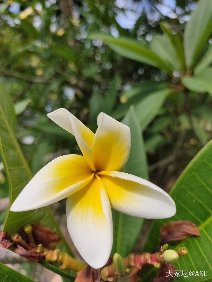 海南的风景是真的好_闲聊