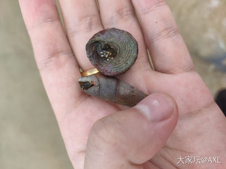 海南的风景是真的好_闲聊