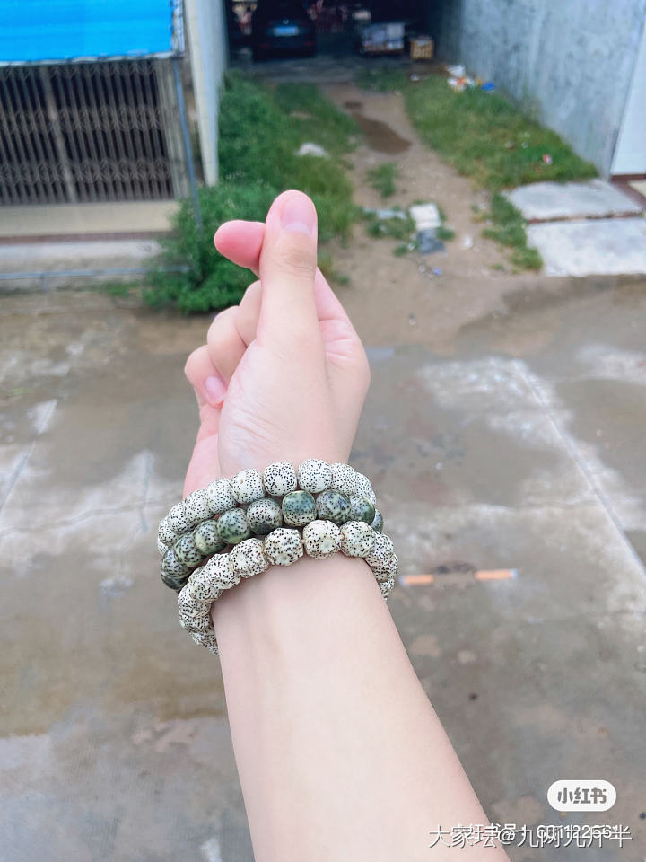 新手入坑 还请前辈指教。_菩提子