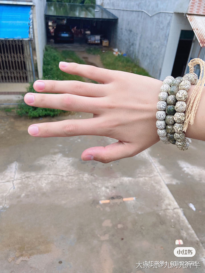 新手入坑 还请前辈指教。_菩提子