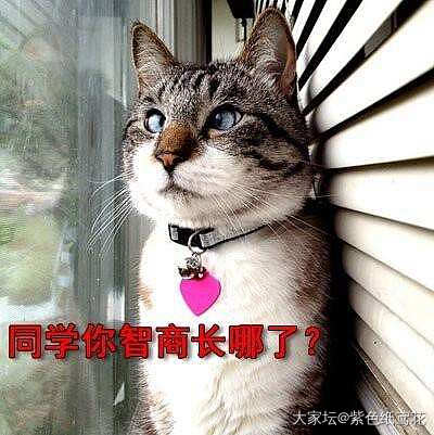 被猪队友蠢哭了。_闲聊