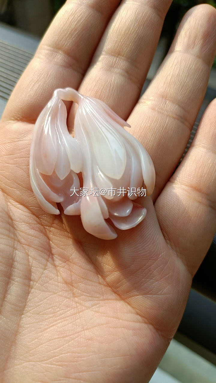 盐源玉兰_玉髓玛瑙