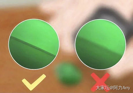 新手都能识别祖母绿真伪的办法（一）_祖母绿
