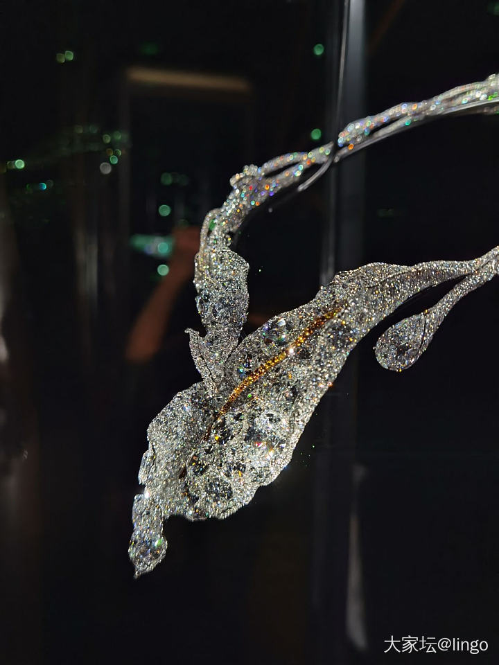 “无尽之境”Cindy Chao艺术珠宝大师展_展会