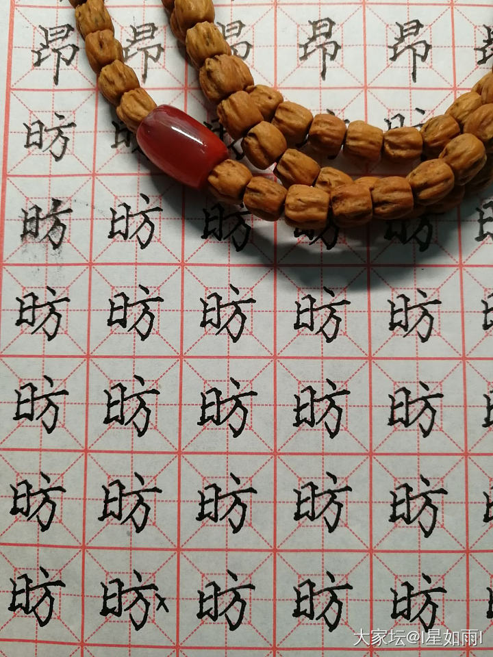 2021习字