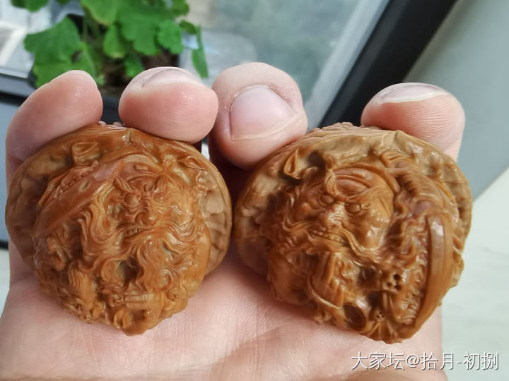 每天最开心的时候_核桃