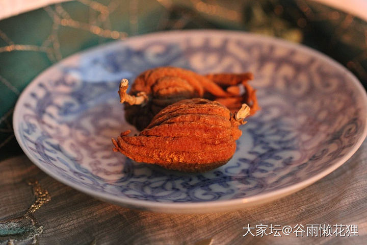 晒最近杂七杂八的瓷器照片_陶瓷
