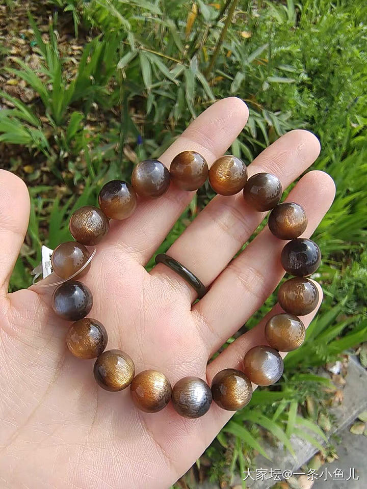 请问这是三轮骨干还是金日光金月光？_水晶