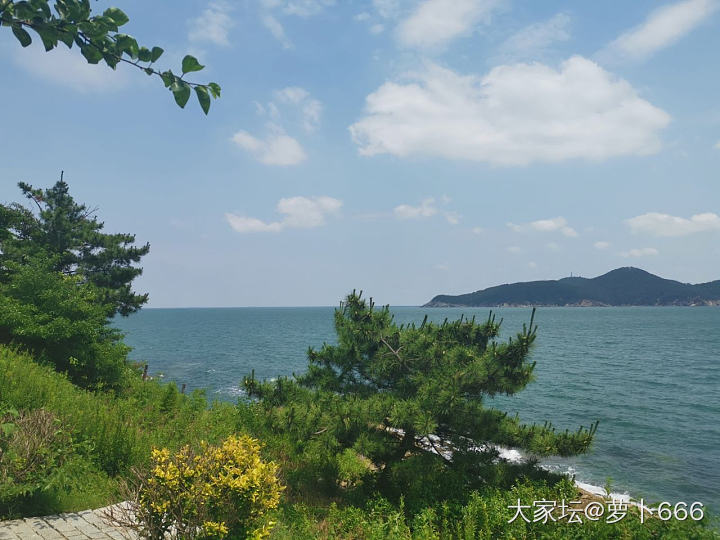 定了明天出发去威海的火车票，两个老人两个孩子，求推荐攻略_旅游