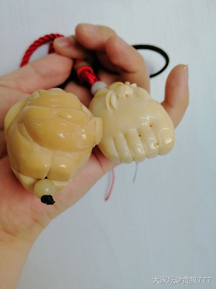 这两个东西好轻，不知道什么材质。可能是植物的种子吧。_象牙果文玩
