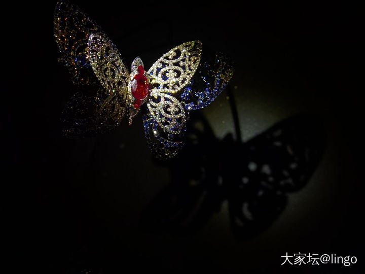 陈世英个展 翩翩平行梦_展会