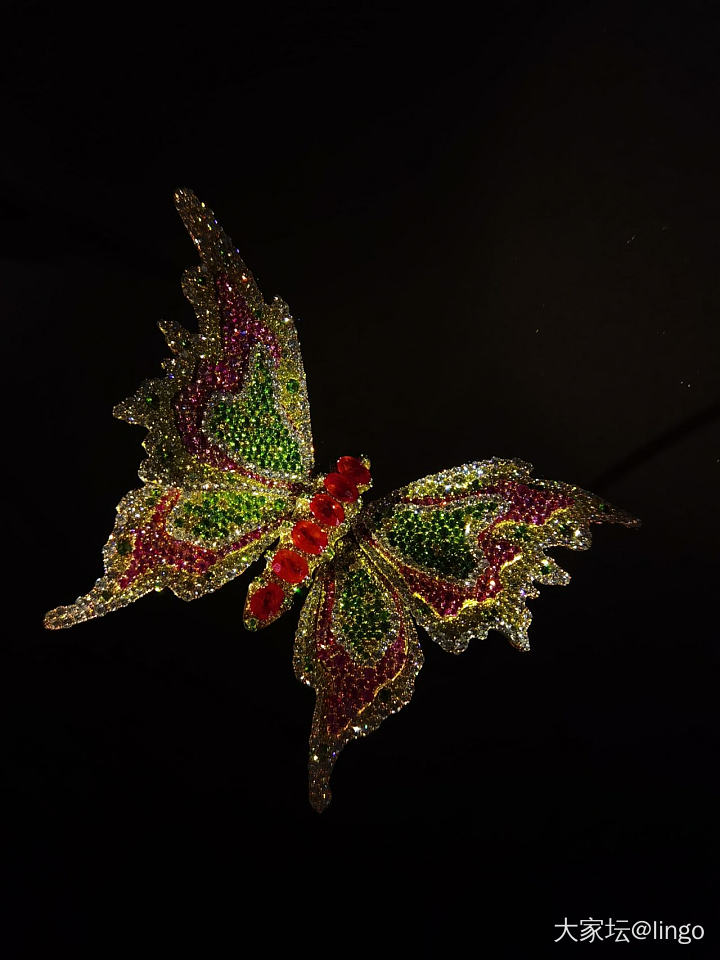 陈世英个展 翩翩平行梦_展会