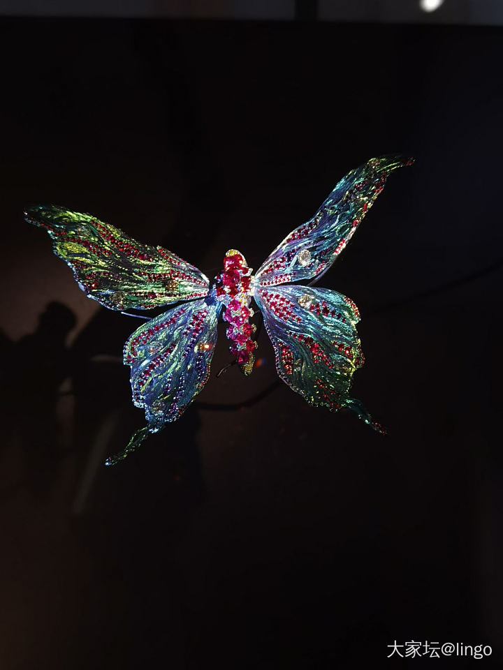 陈世英个展 翩翩平行梦_展会