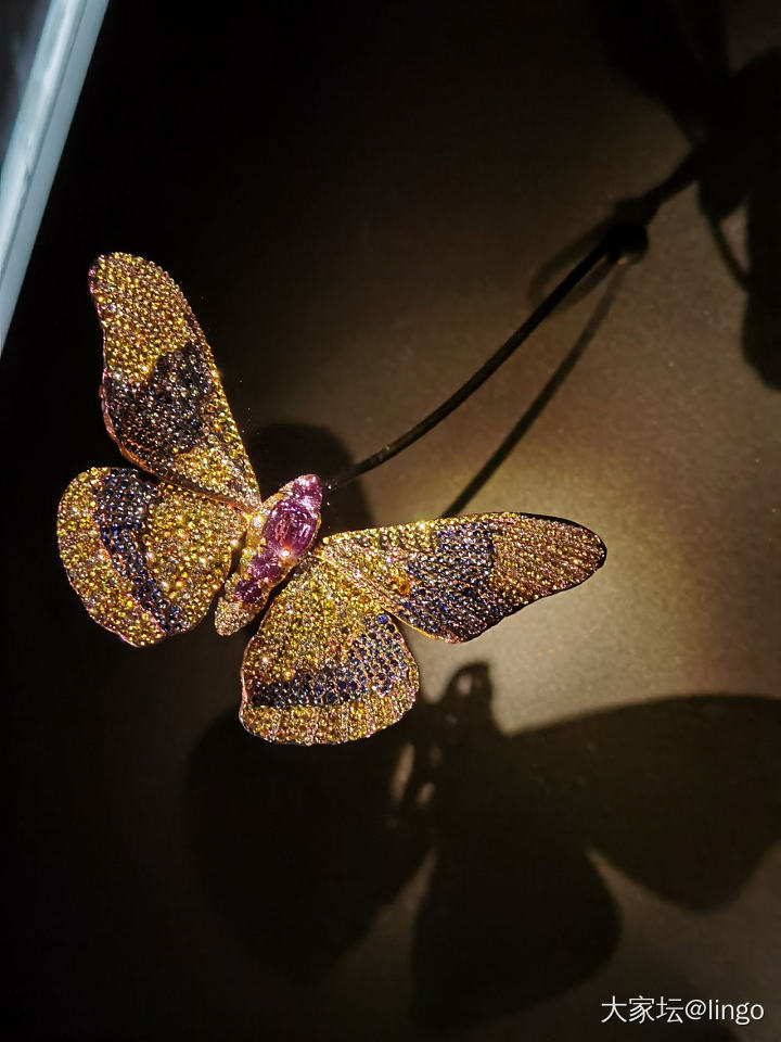 陈世英个展 翩翩平行梦_展会