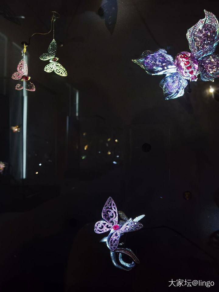 陈世英个展 翩翩平行梦_展会