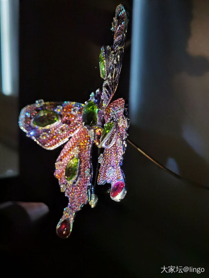 陈世英个展 翩翩平行梦_展会