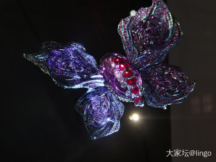 陈世英个展 翩翩平行梦_展会