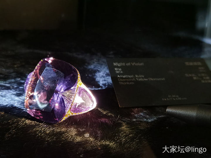 陈世英个展 翩翩平行梦_展会
