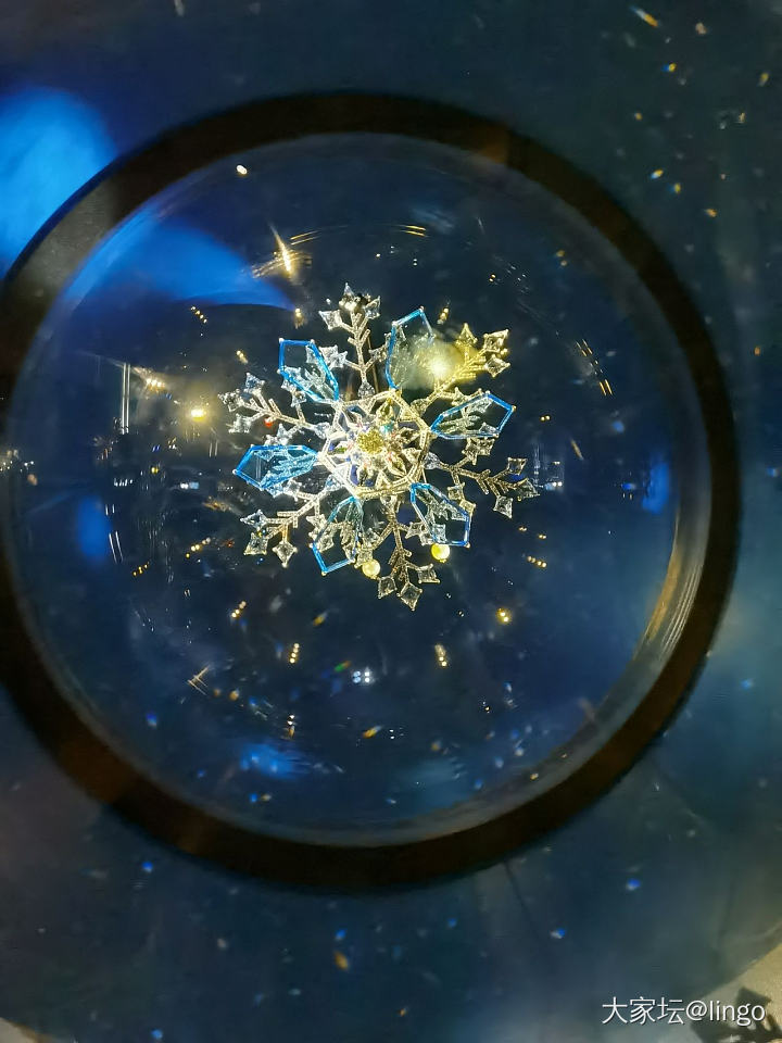 陈世英个展 翩翩平行梦_展会