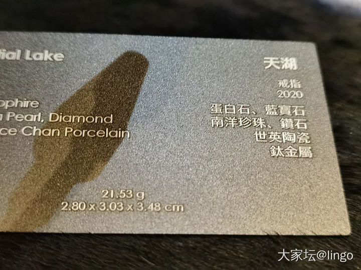 陈世英个展 翩翩平行梦_展会